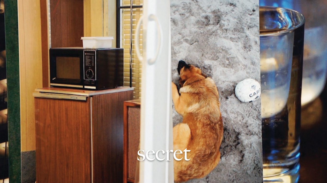 *Naming,* 2017 (still)