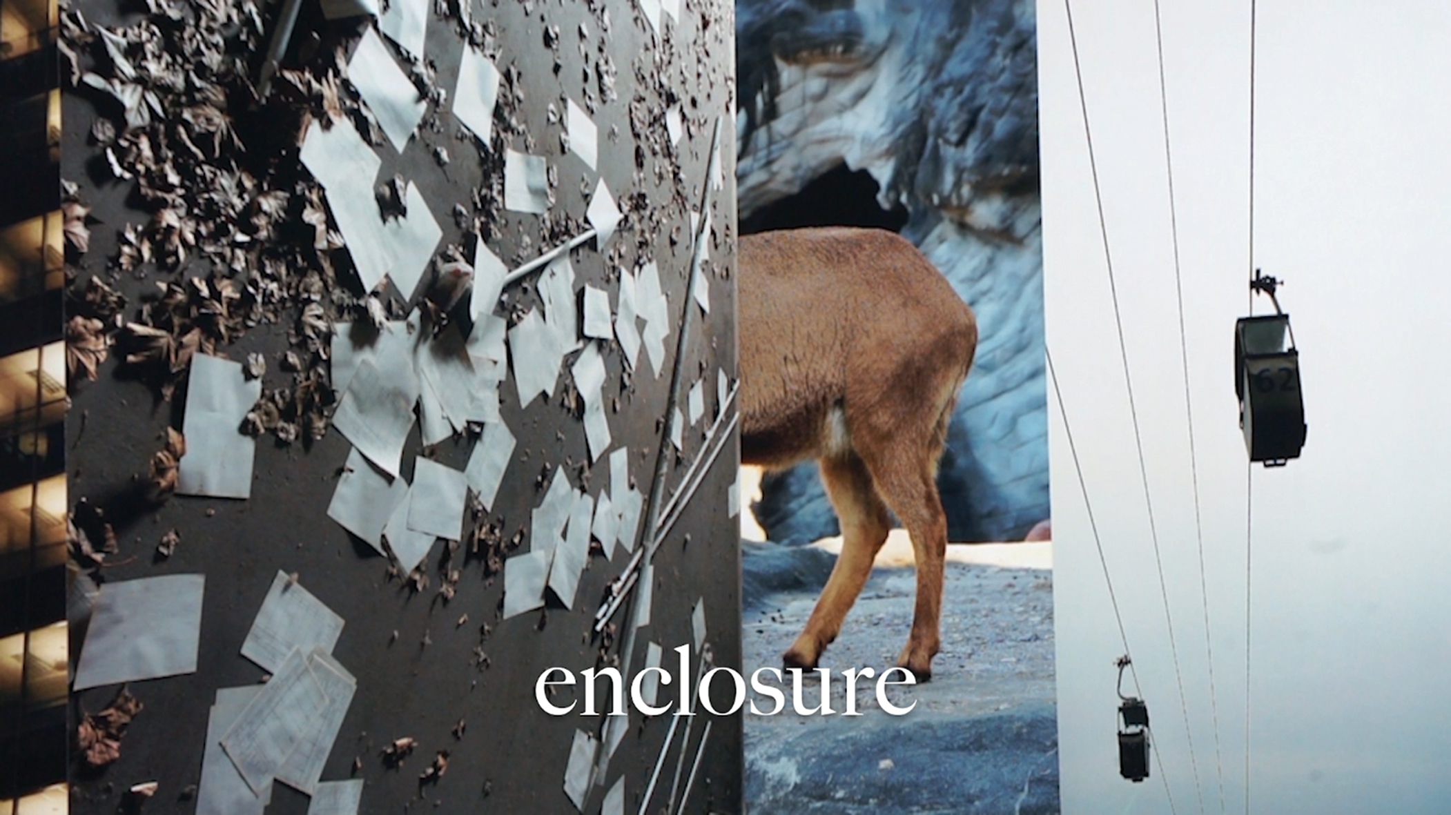 *Naming,* 2017 (still)