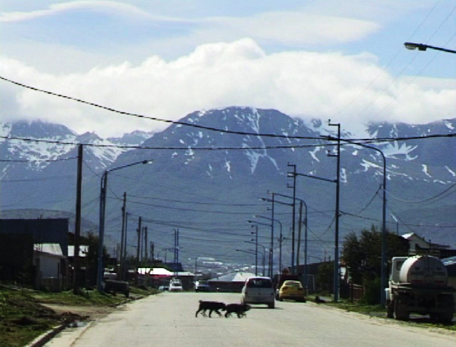 *Albatross Ado,* 2008 (still)