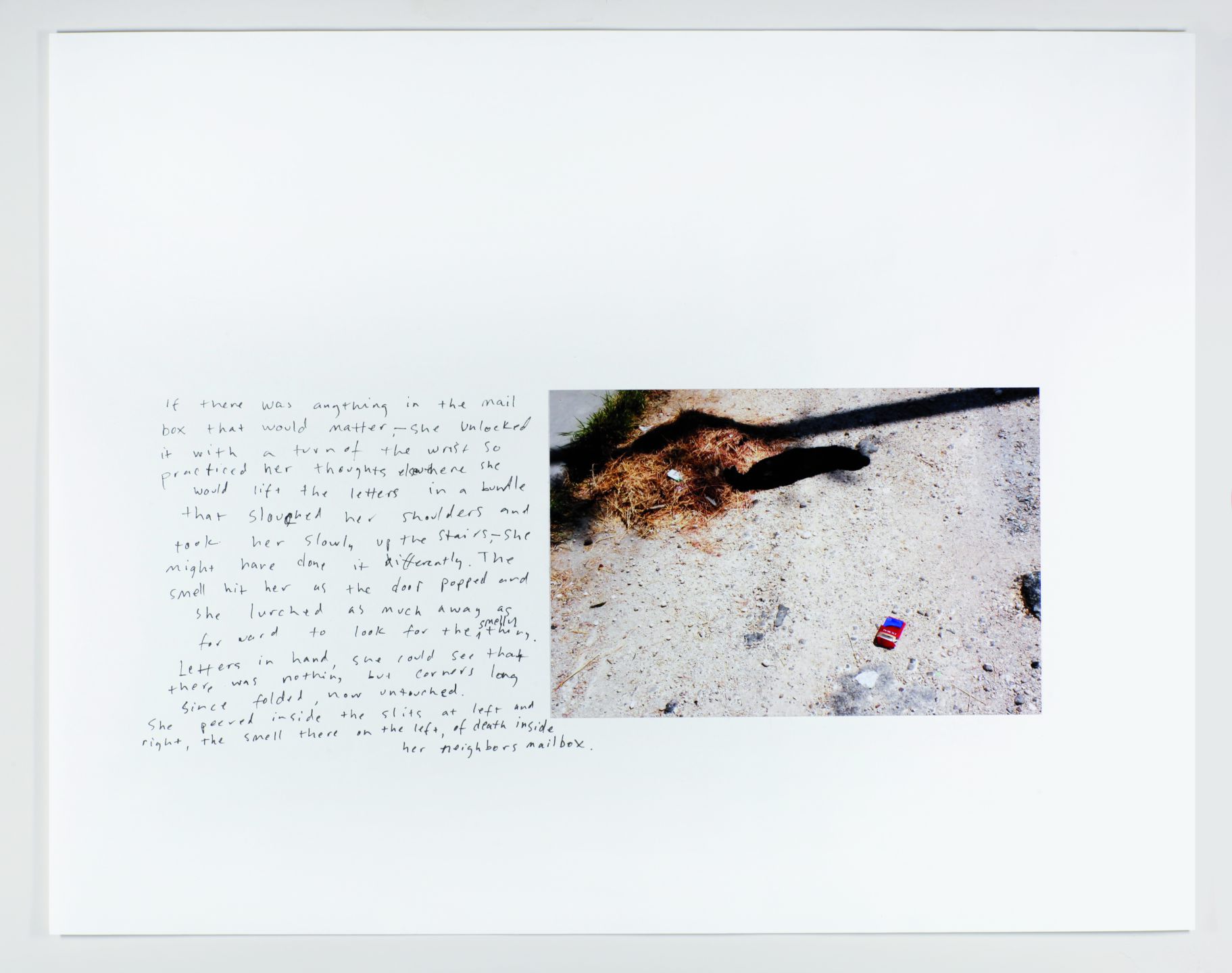 *Mouse,* 2011, photo and ink on paper, 11.7″ x 16.5″