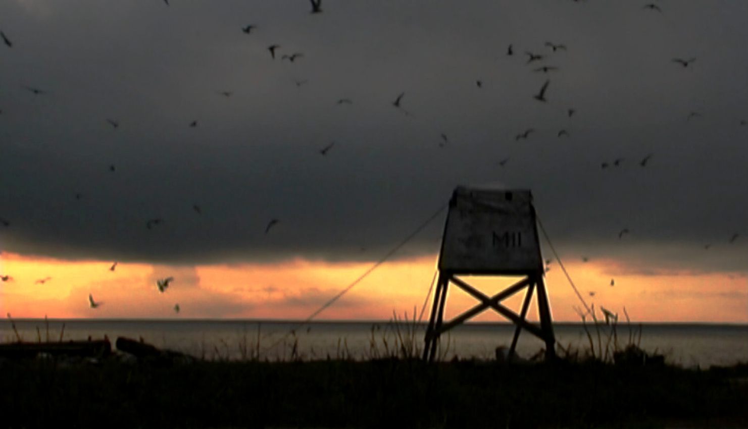 *Tacit Grounds,* 2010 (still)