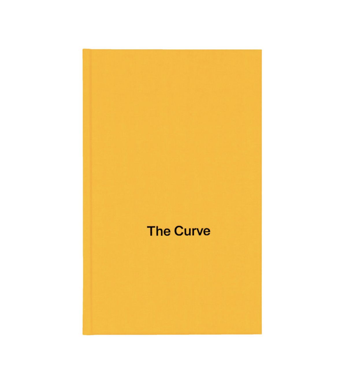 *The Curve.* Berlin: Bom Dia Boa Tarde Boa Noite, 2021. (cover)