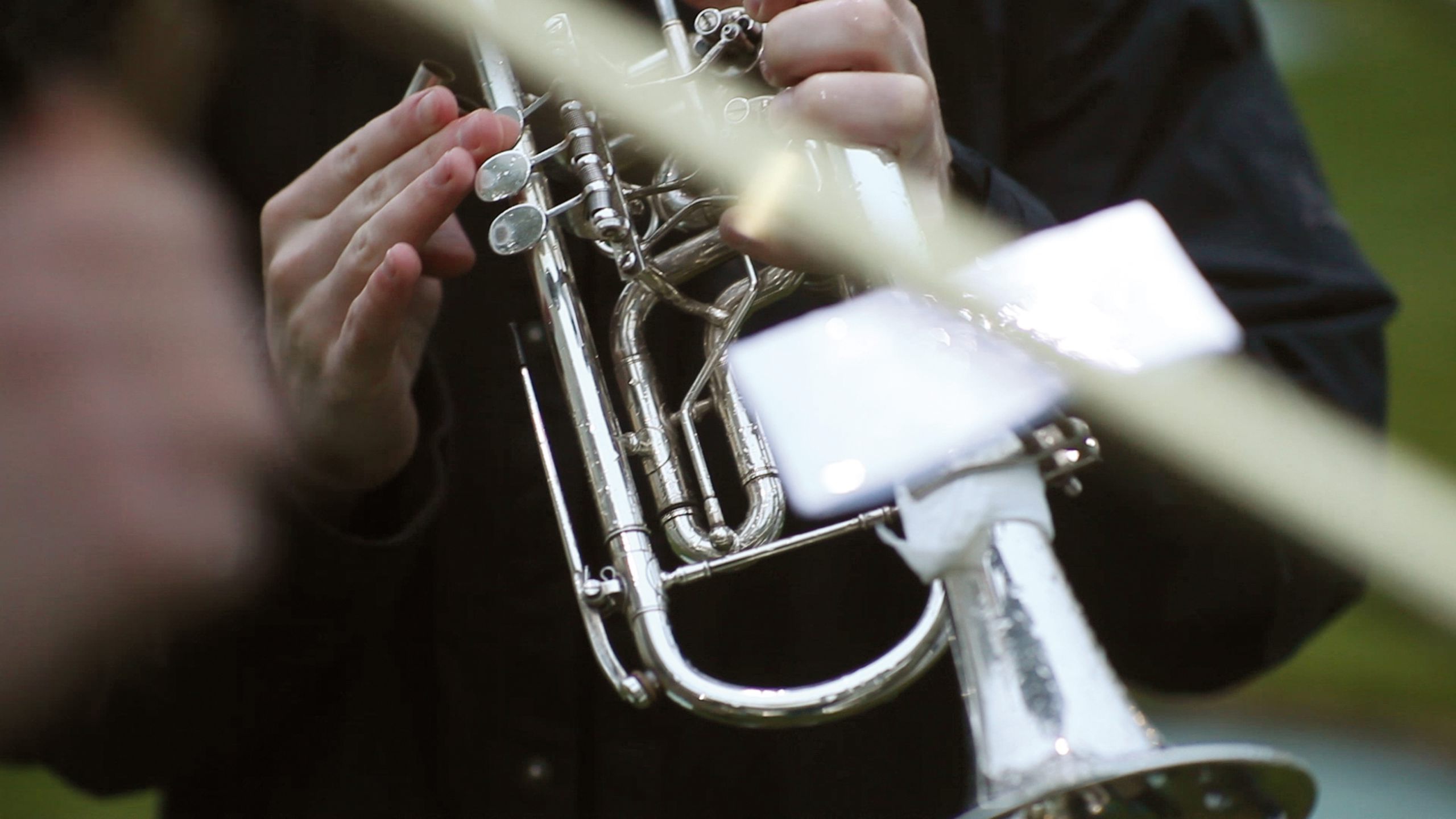 *Watering Hole,* 2013